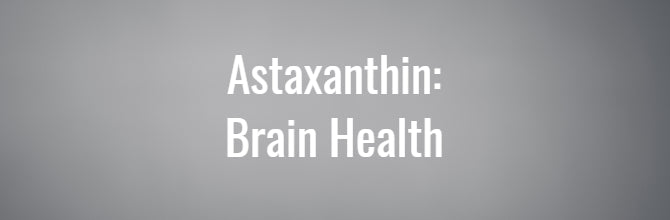 Astaxanthin and brain health: What’s the link?
