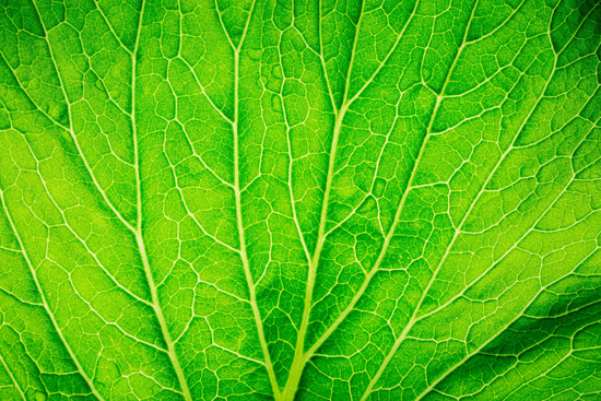 Vitamin K Benefits, Sources, & Supplements