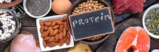 How Protein Can Help To Build Strong And Healthy Bones
