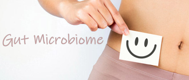 Product Focus - Gut Microbiome