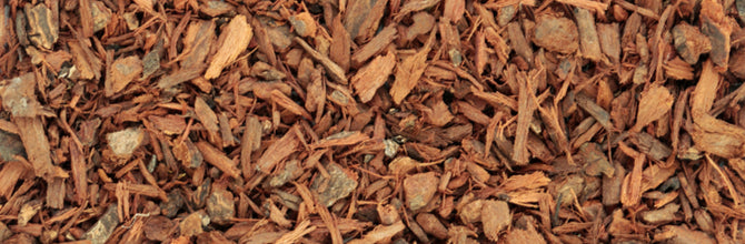 Pygeum: Why We Don't Sell It