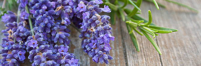 Rosemary and Lavender Shampoo