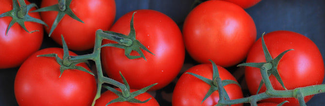 Lycopene: Why We Don't Sell It