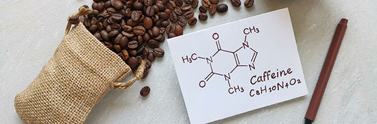 Does Caffeine affect Nutrient Absorption?