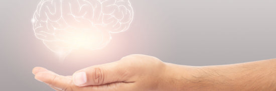 Enteric Nervous System (ENS)