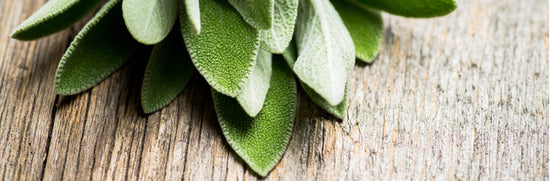 The benefits of Using Sage for the Menopause