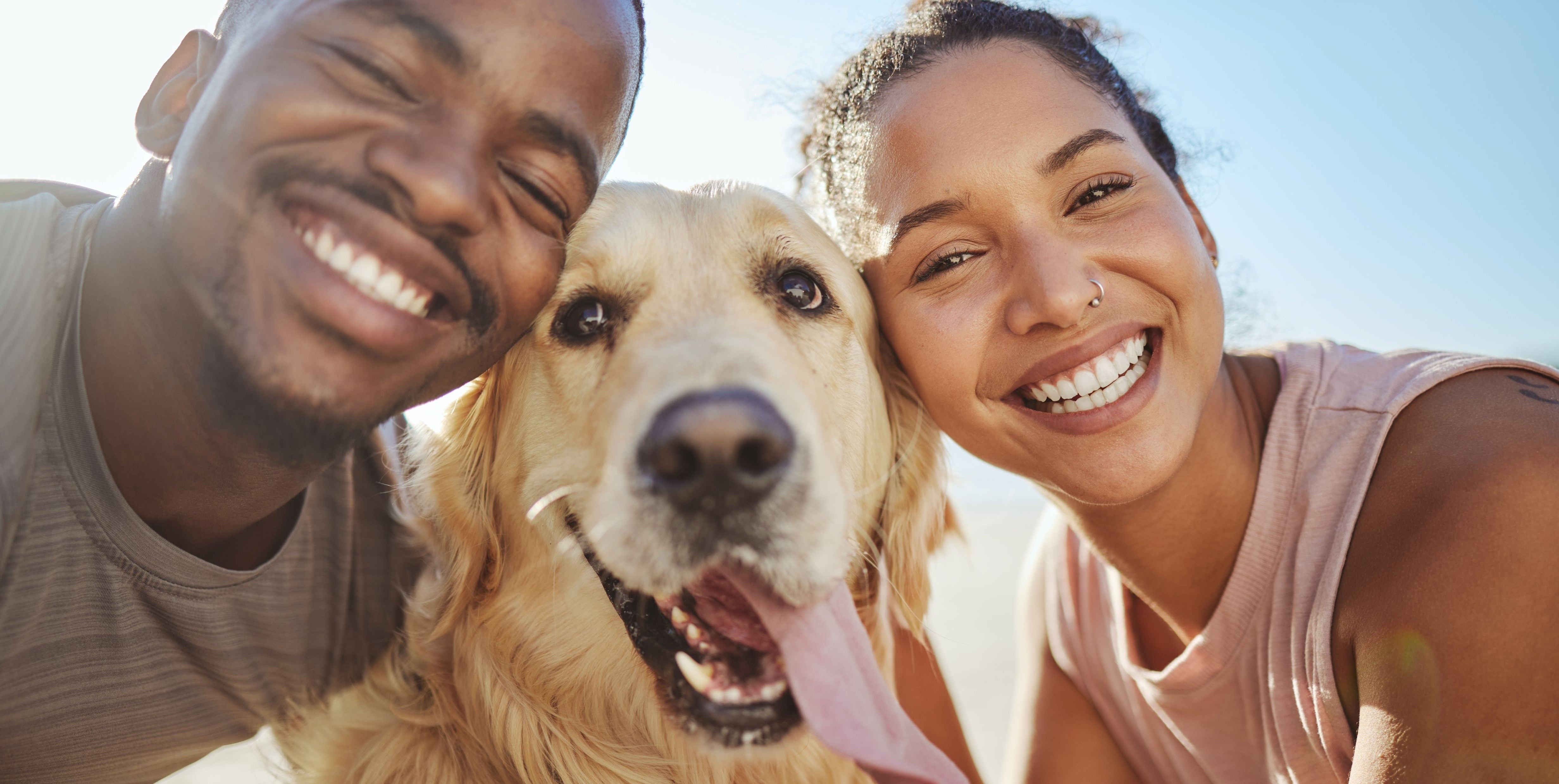 Dog and Cat Nutrition