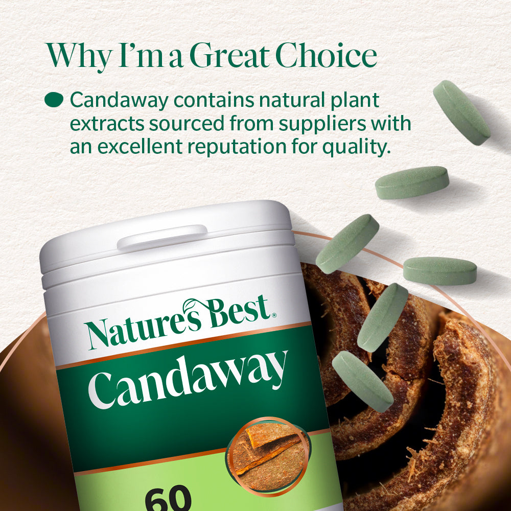 Candaway Digestion