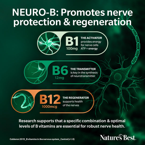 NEURO-B graphic of a nerve cell showing benefits of vitamins B1, B6, B12