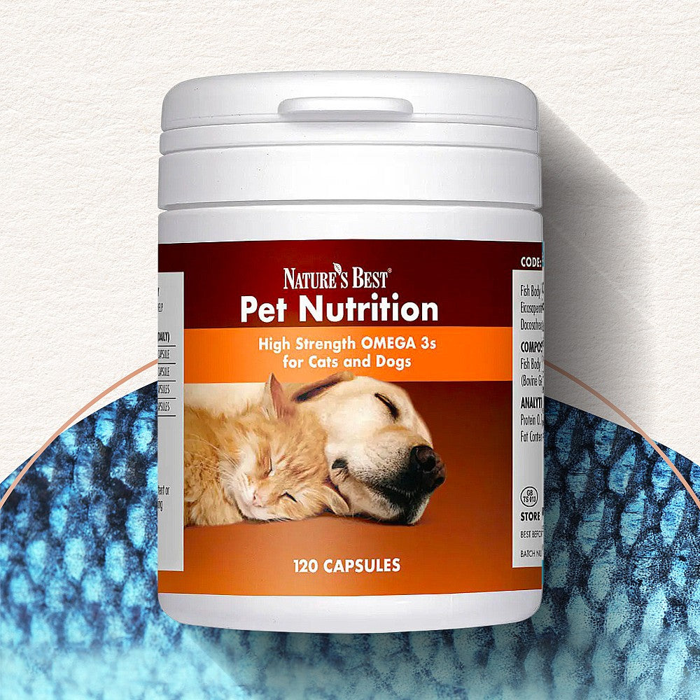 198 image