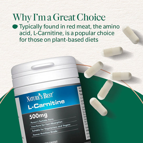 best l carnitine form L-Carnitine Supplements