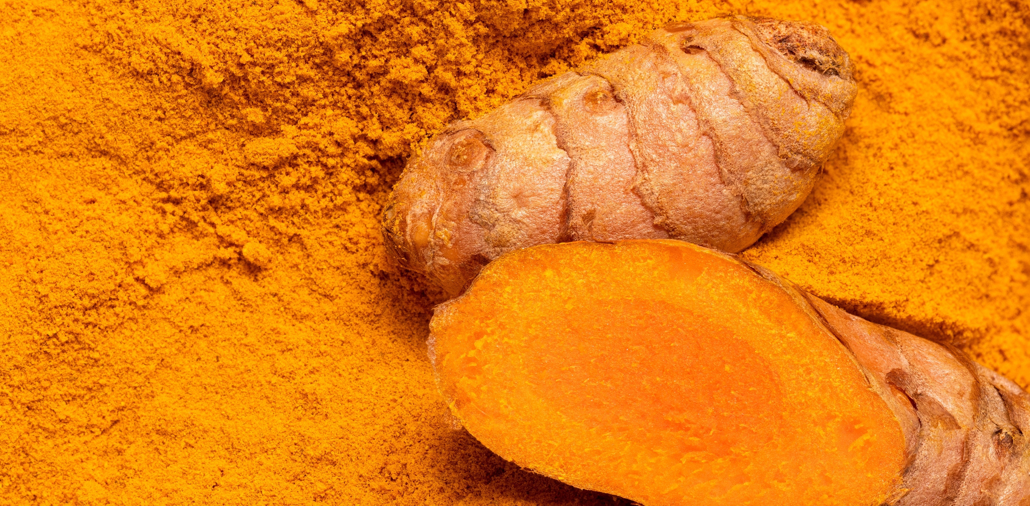 Turmeric root and powder on an orange background