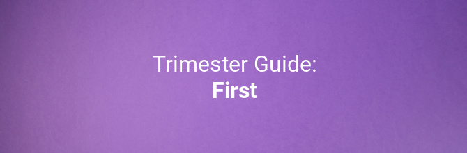 Everything you need to know about your first trimester