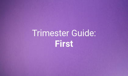 Everything you need to know about your second trimester