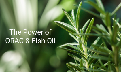 The power of Fish Oil supplements & ORAC antioxidant units