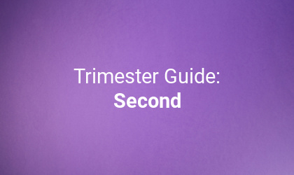 Everything you need to know about your second trimester