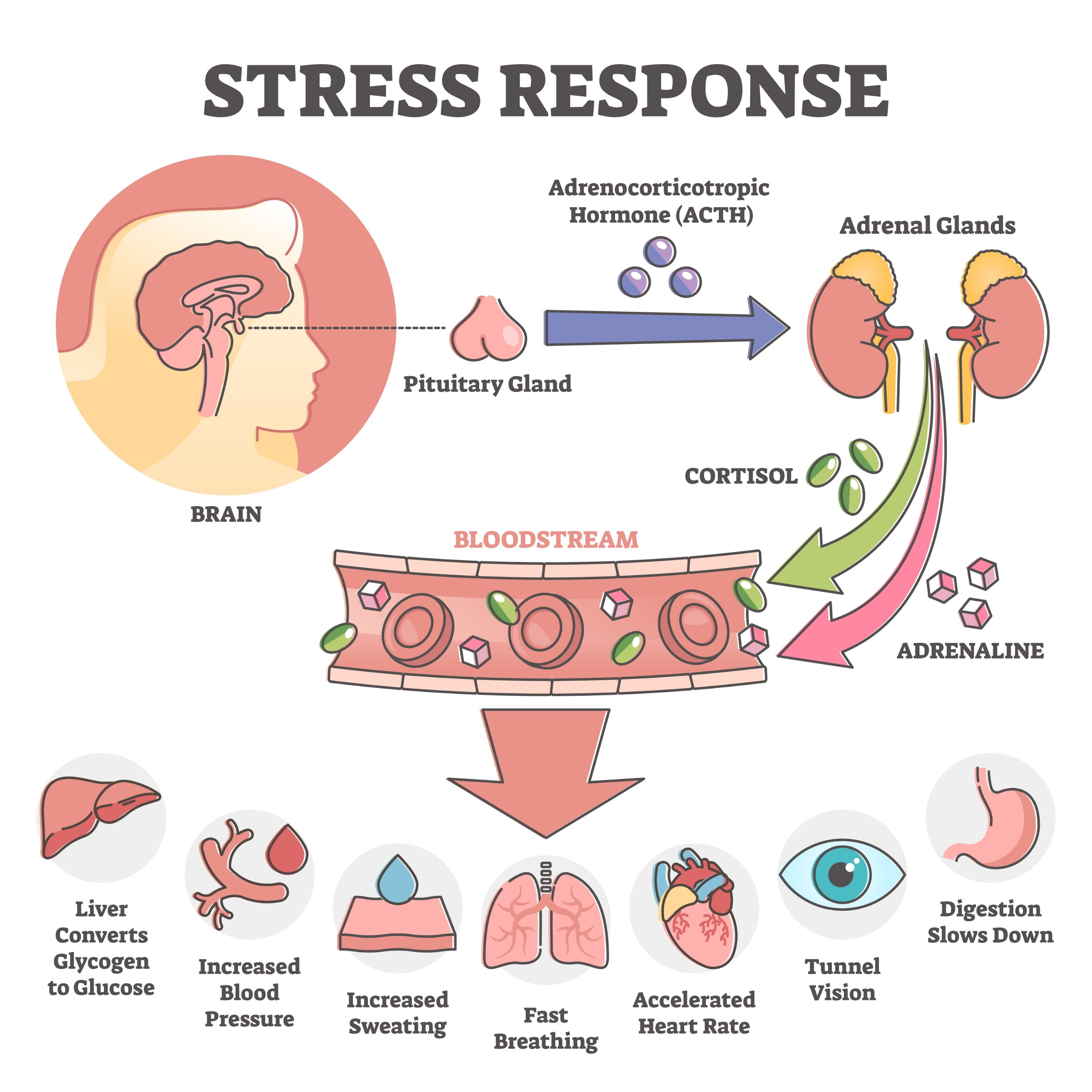 Stress Symptoms And Signs Nature s Best