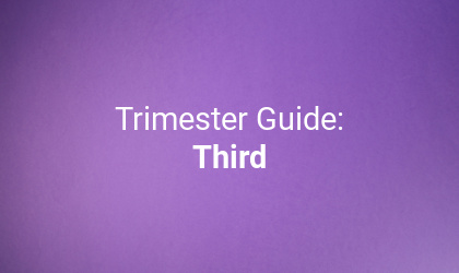 Everything you need to know about your third trimester