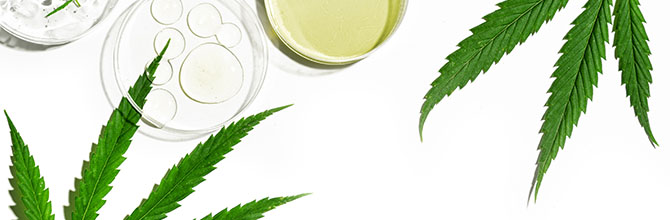 Why We Don't Sell CBD