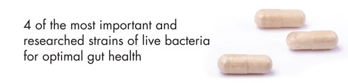 4 of the most important and research strains of live bacteria for optimal gut health.